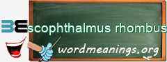 WordMeaning blackboard for scophthalmus rhombus